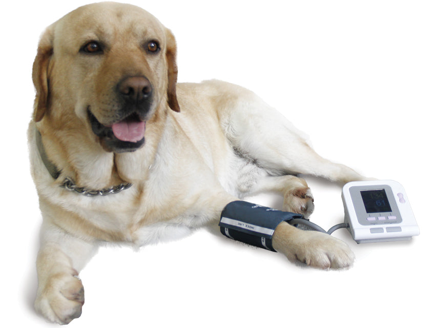 MISURATORE DI PRESSIONE PER ANIMALI