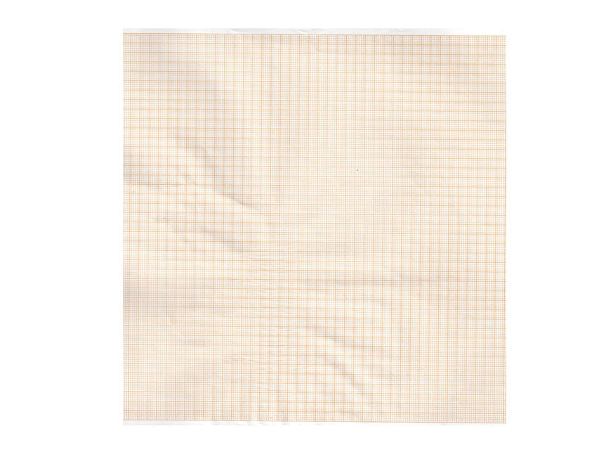 Carta Termica ECG 215mmx25m - Rotolo Griglia Arancio - 5 pz.