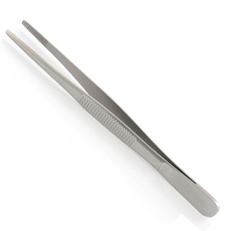 Pinza Anatomia in Acciaio Inox -16cm